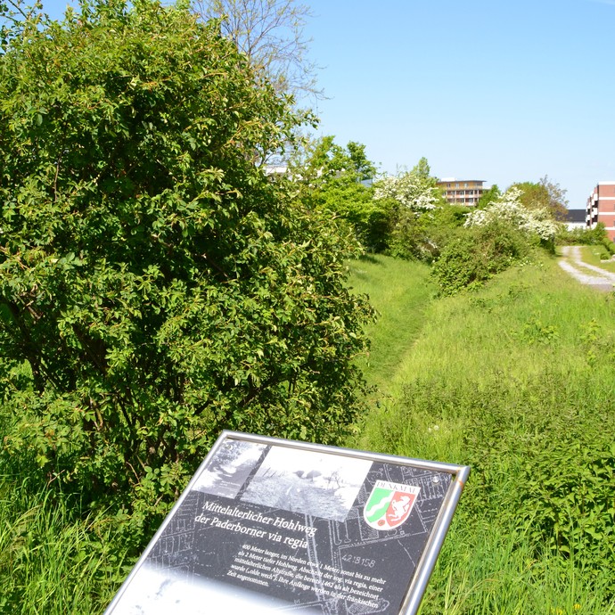 Hohlweg in Paderborn (Steinkrüger). (vergrößerte Bildansicht wird geöffnet)