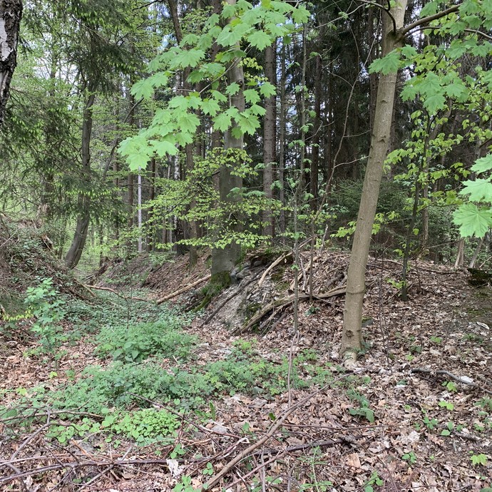 Hohlweg bei Remblinghausen (Altertumskommission). (vergrößerte Bildansicht wird geöffnet)