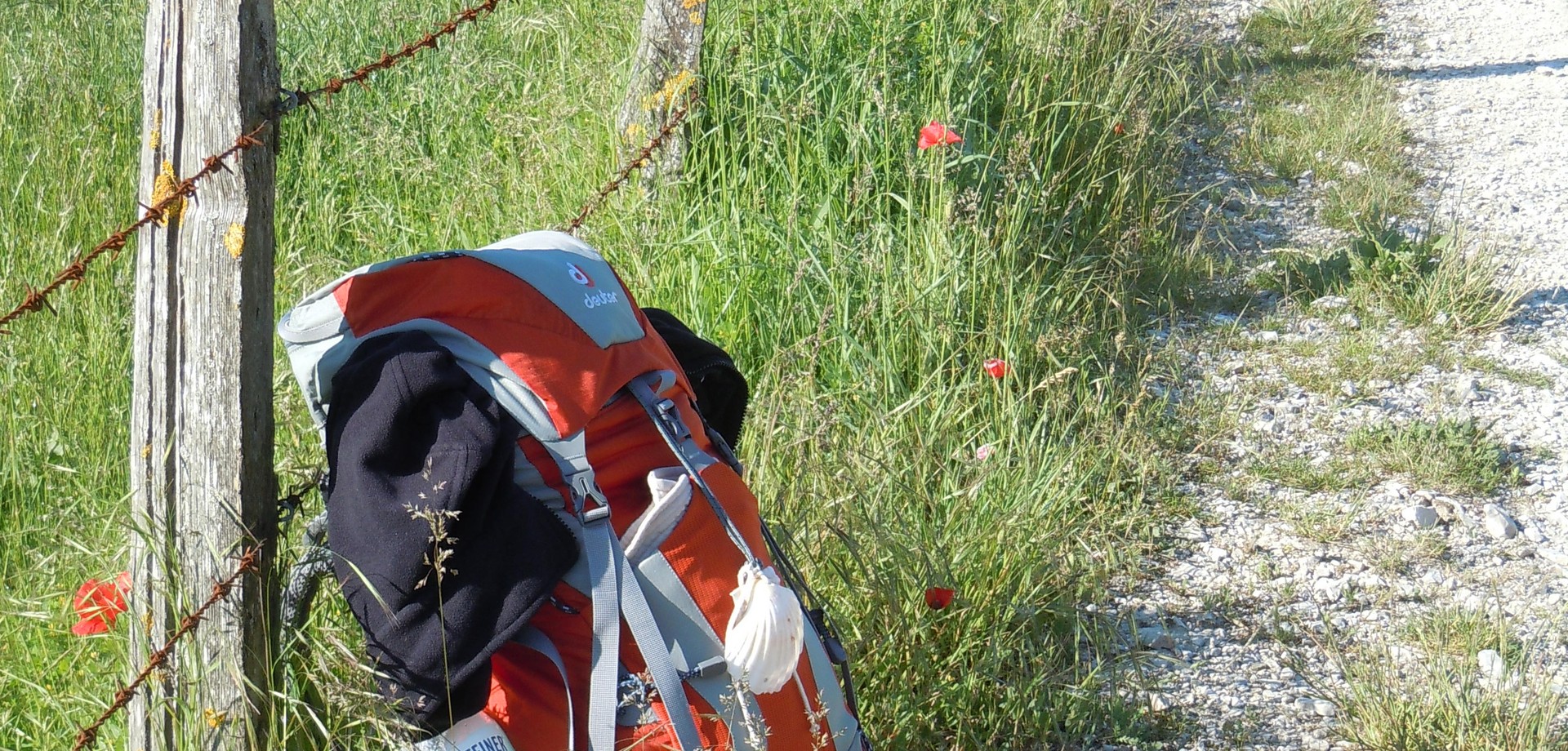 Rucksack mit Muschel (Altertumskommission)