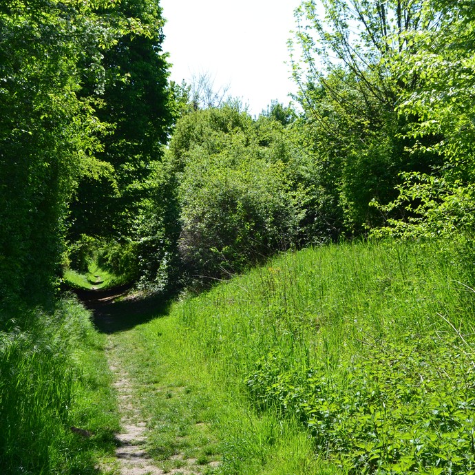 Weg vor Paderborn (Steinkrüger). (vergrößerte Bildansicht wird geöffnet)
