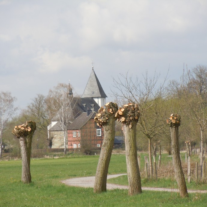 Hellinghausen (Altertumskommission). (vergrößerte Bildansicht wird geöffnet)