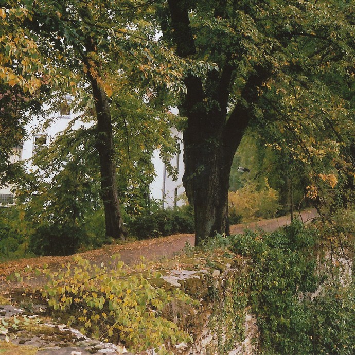 Wall in Soest (Altertumskommission). (vergrößerte Bildansicht wird geöffnet)