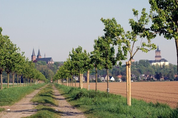 Die Birnenallee mit Blick auf Kleve (LVR).