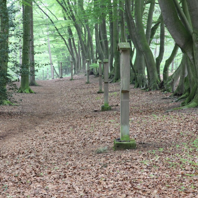 Steveder Kreuzweg (Altertumskommission). (vergrößerte Bildansicht wird geöffnet)