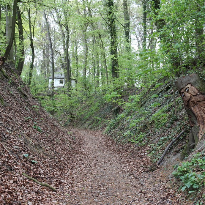 Hohlweg bei Darup (Altertumskommission). (vergrößerte Bildansicht wird geöffnet)