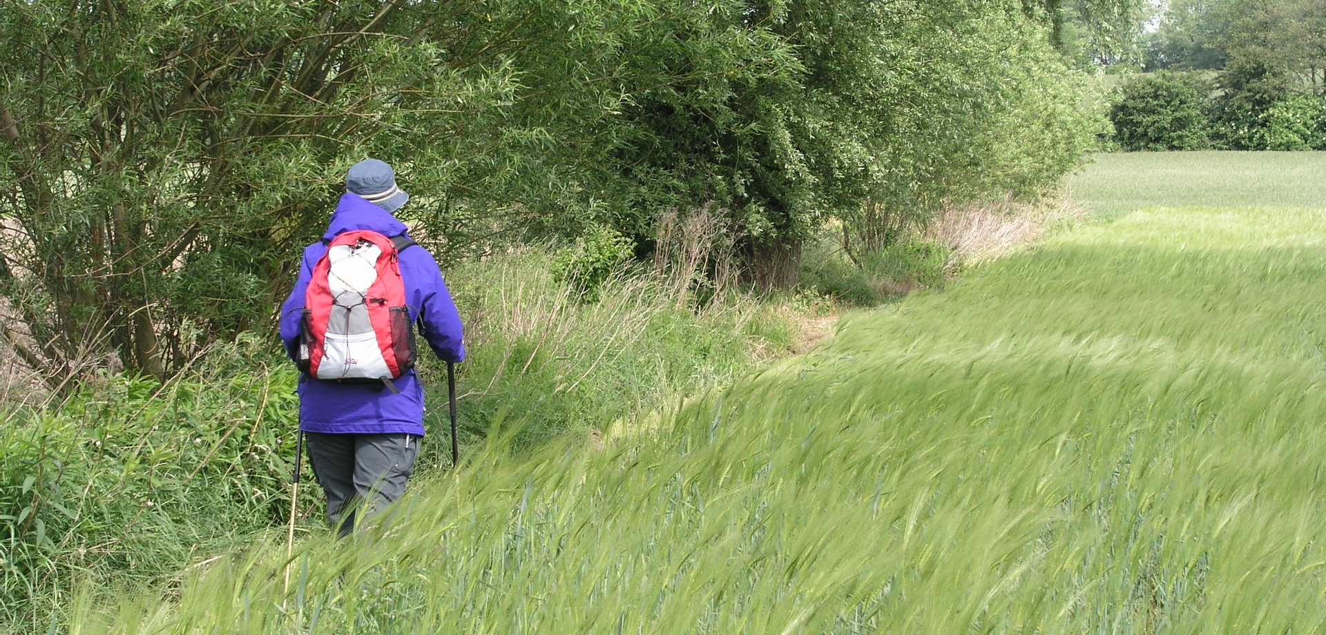 Wandern durchs Grüne (Altertumskommission).